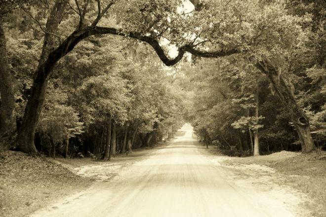 dirt-road-home-sean-cupp