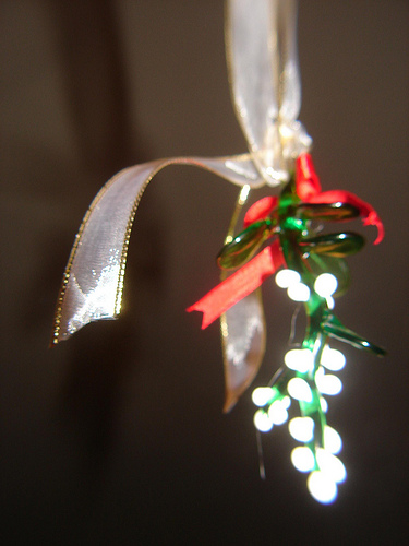 411093843_b8cf689bac