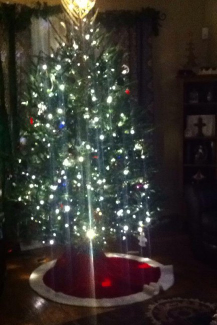 12310421_1043830055637147_1962819410596240875_n